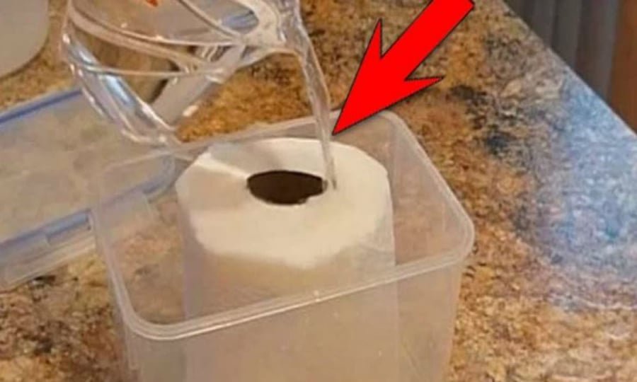 Mẹo vặt hữu ích với giấy vệ sinh SATY: Chỉ cần thêm chút giấm, tủ lạnh sạch bong và khử mùi tức thì!